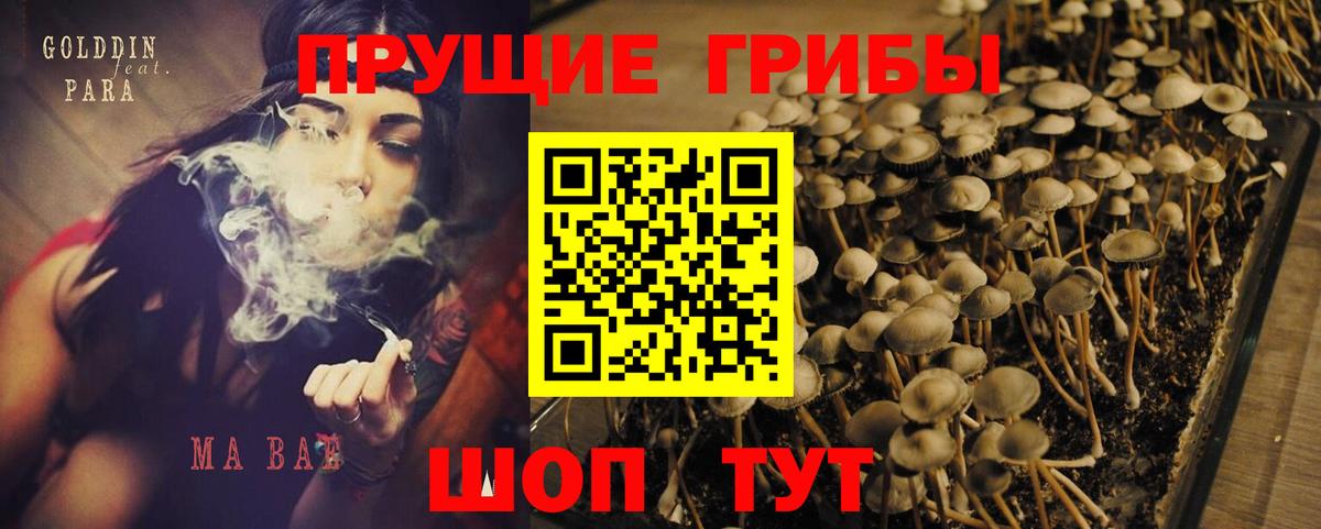 Галлюциногенные грибы ЛСД  Псилоцибиновые грибы ЛСД  Керчь  Вход с VPN 